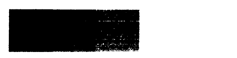 Process for blending mulberry bark and cotton into bedding fabric as well as printing pattern design