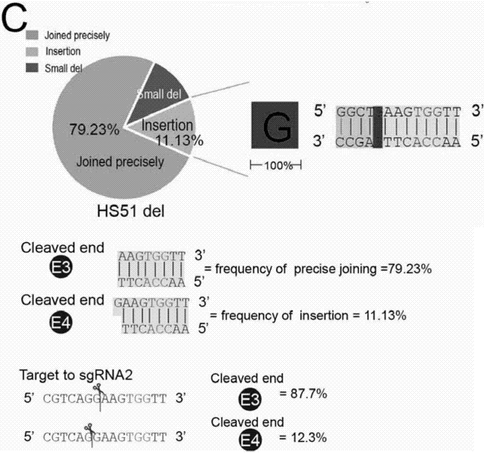 Cas9 nuclease G915F and application thereof