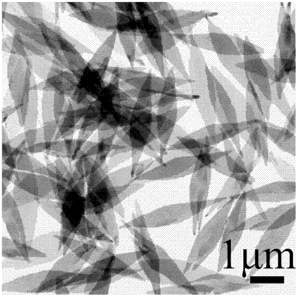 Nano metal leaf and preparation method thereof