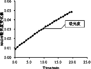 Amino acid and plant compound composition for relieving alcoholism and protecting liver and application thereof in foods and health foods