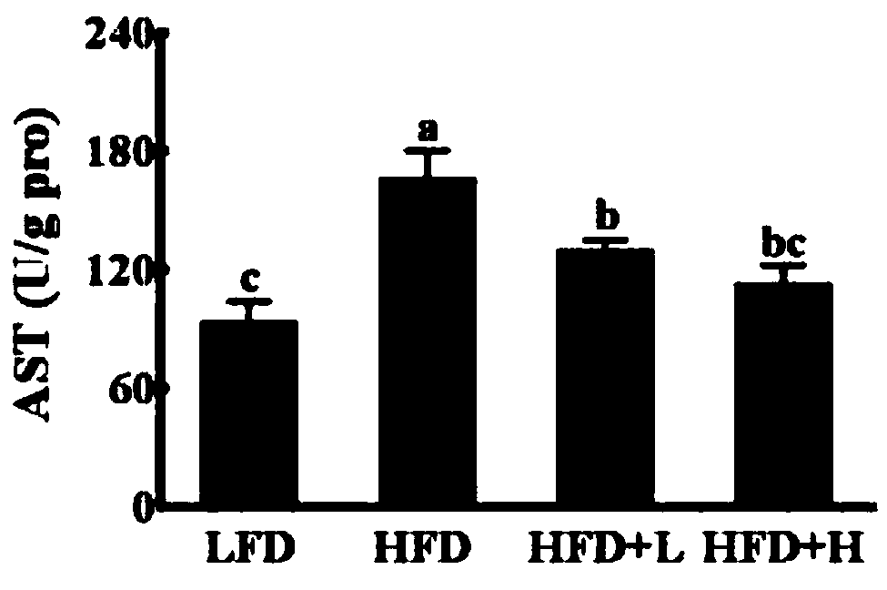 Application of apios americana medikus extract in preparation of food or medicine for reducing weight, resisting tumor and improving immunity