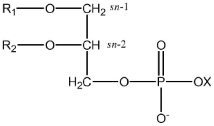 Phospholipid preparations for improving communication skills