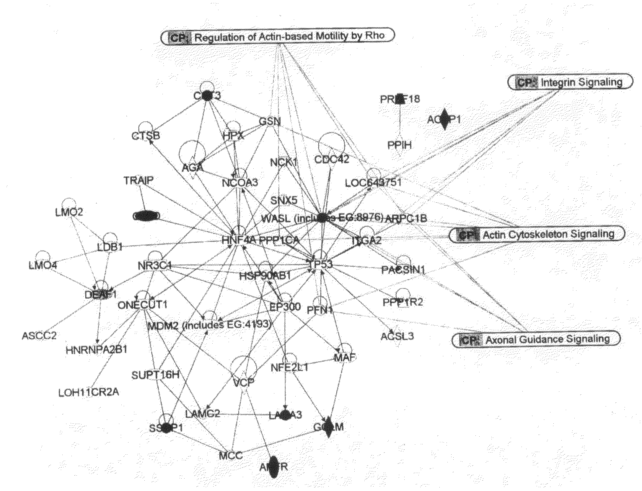 Method to Predict Responsiveness of Breast Cancer to Polyamine-Type Chemotherapy