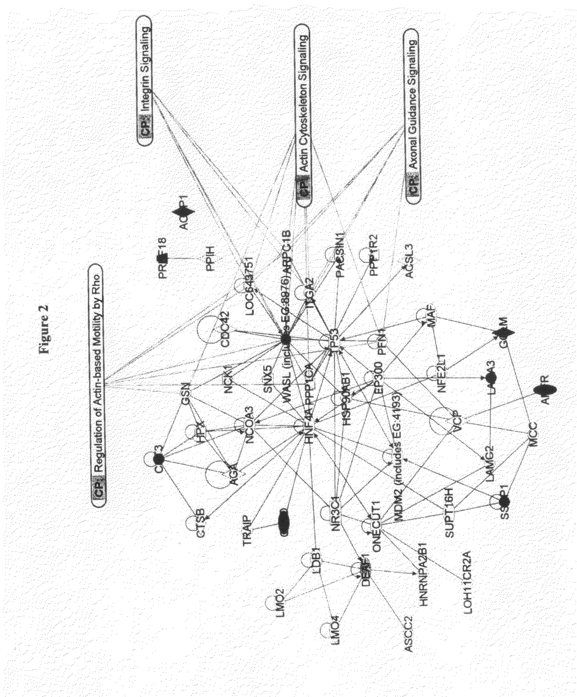 Method to Predict Responsiveness of Breast Cancer to Polyamine-Type Chemotherapy