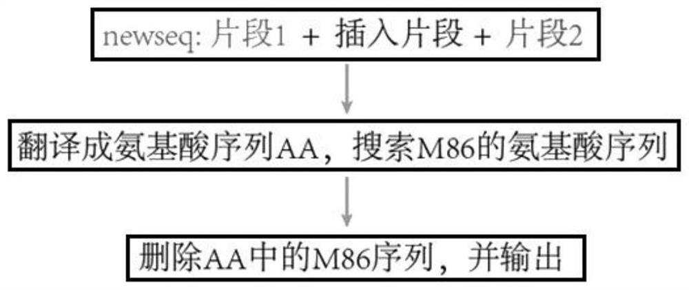 Method for screening splitting sites and application thereof