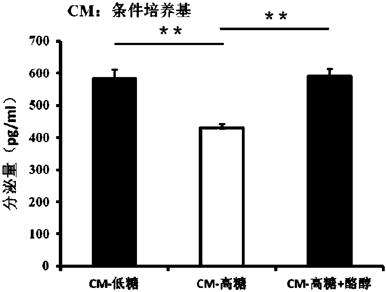 Application of tyrosol in preparing drug for treating diabetic complication diabetic foot