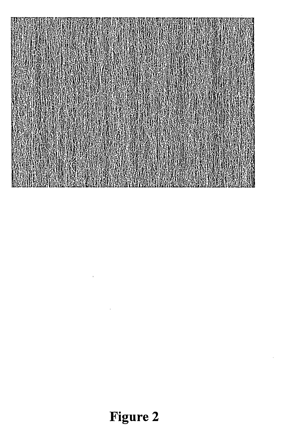 Interface-infused nanotube interconnect