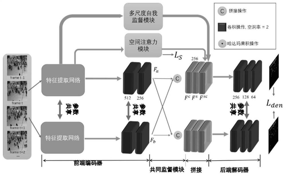 Video crowd counting system and method