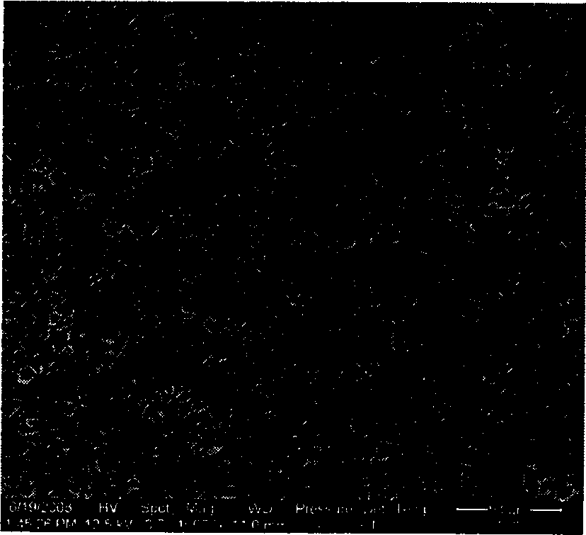 Preparation method of porous polyvinylidene fluoride alloy membrane for treating and recycling waste water