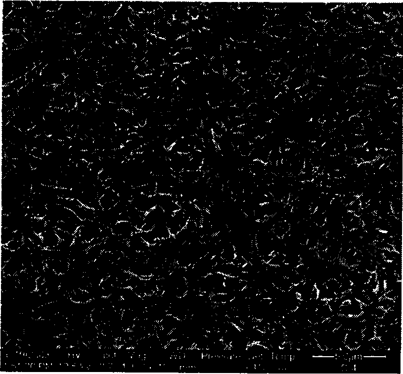 Preparation method of porous polyvinylidene fluoride alloy membrane for treating and recycling waste water