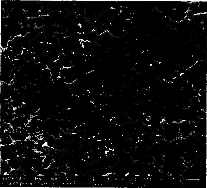 Preparation method of porous polyvinylidene fluoride alloy membrane for treating and recycling waste water