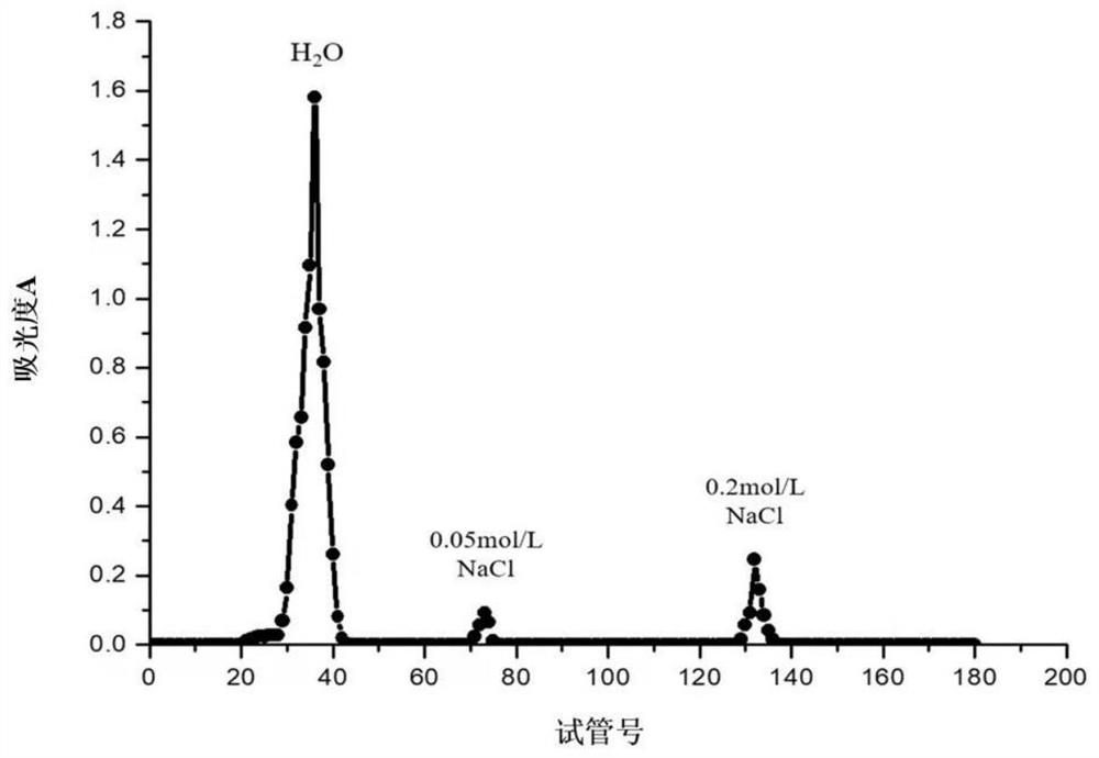 Application of broussonetia papyrifera flowers in preparation of drugs or sunscreen cosmetics for preventing and treating ultraviolet damage