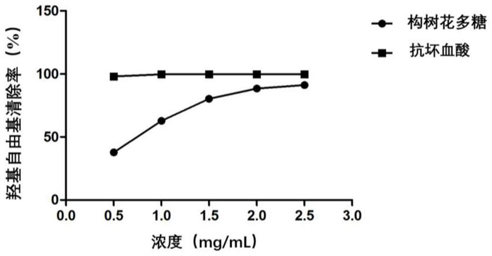 Application of broussonetia papyrifera flowers in preparation of drugs or sunscreen cosmetics for preventing and treating ultraviolet damage