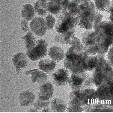 Preparation method of three-dimensional flower-like zinc oxide nanometer material and obtained product