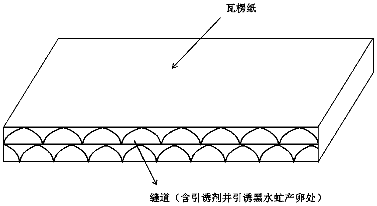 Composition for attracting hermetia illucens for concentrated oviposition and use method of composition