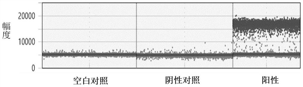 Composition for nucleic acid detection