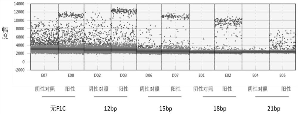 Composition for nucleic acid detection