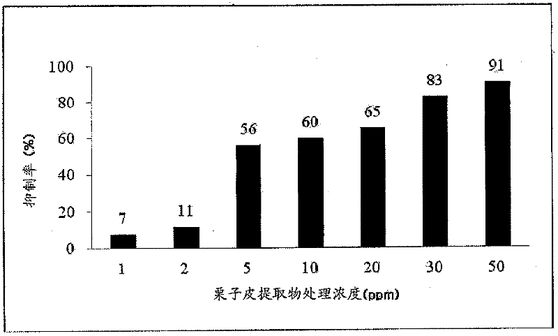 Health food or pharmaceutical composition comprising chestnut shell extract