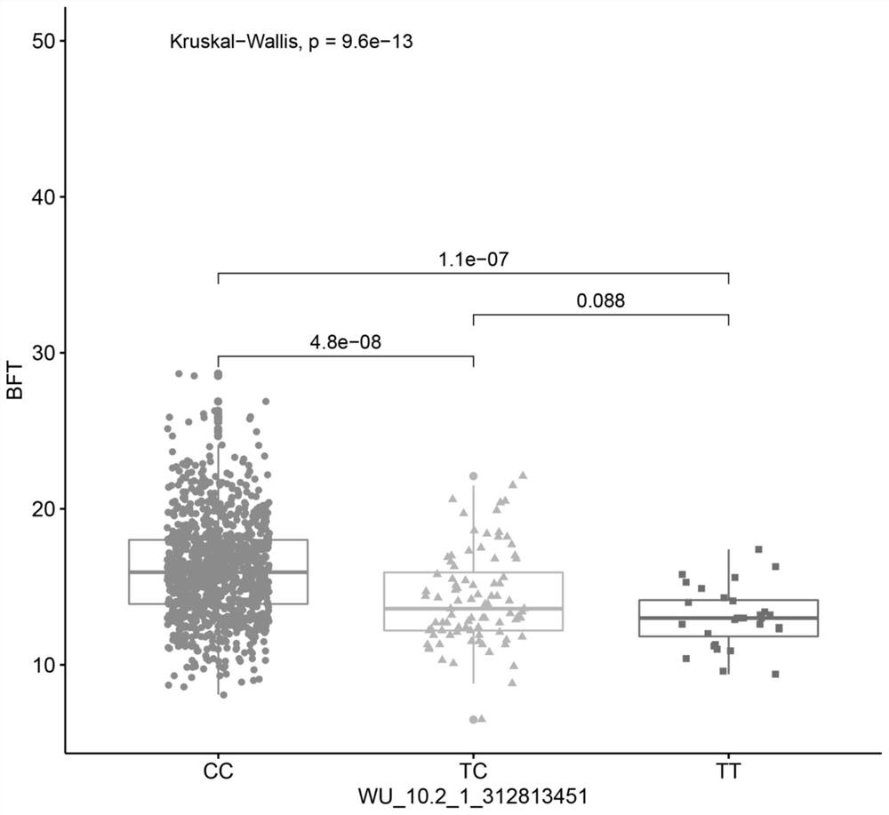 SNP marker related to pig backfat thickness and utilization method thereof