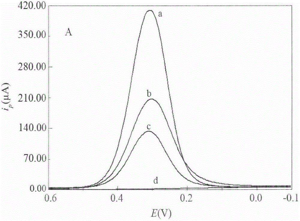 OAP-MIP multiple binding site affinity membrane chlortetracycline (CTC) sensor and preparation method thereof