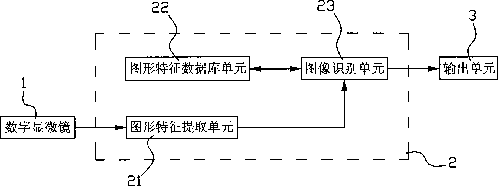 Marine phytoplankton automatic distinguishing method and apparatus