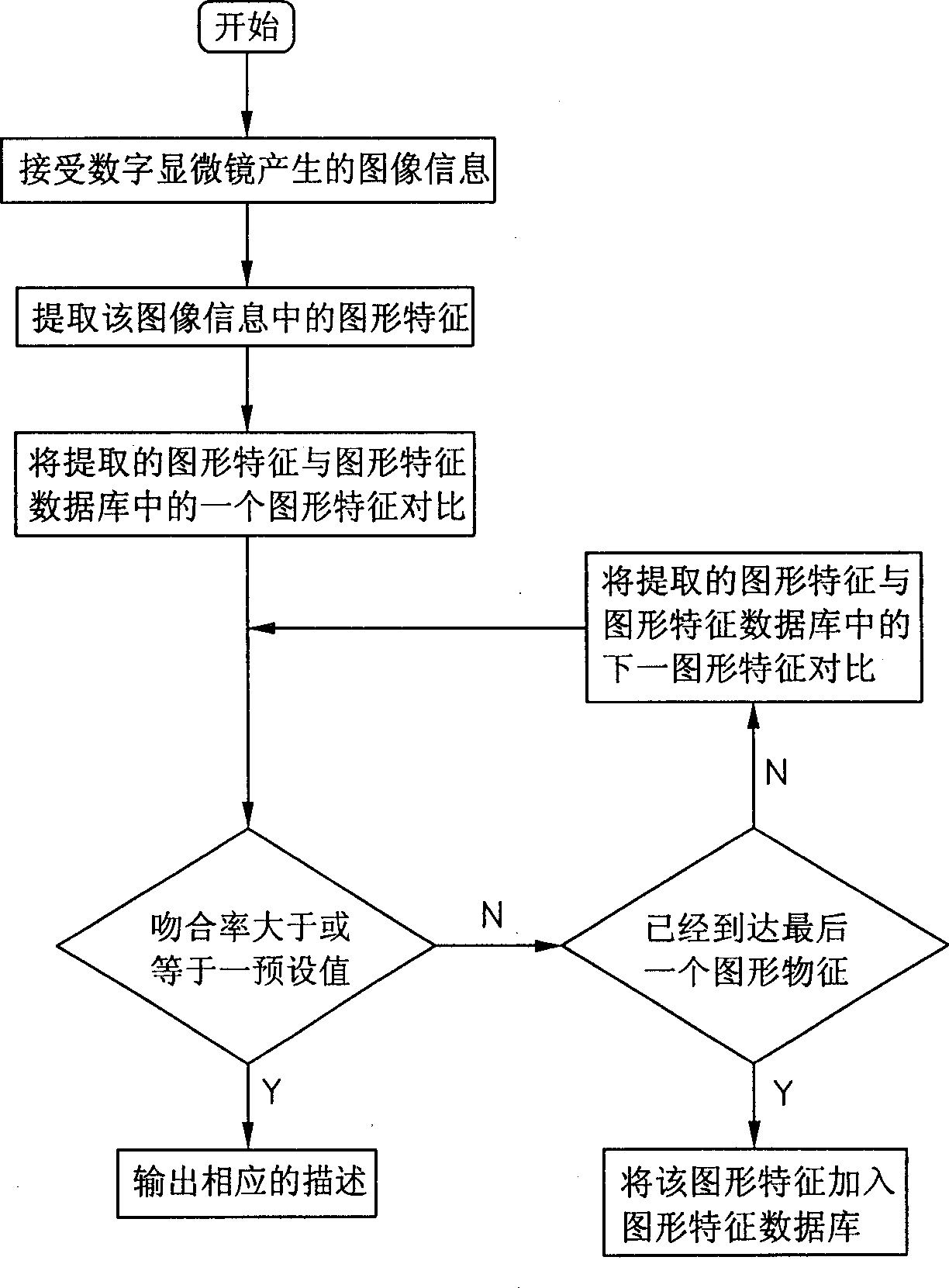 Marine phytoplankton automatic distinguishing method and apparatus