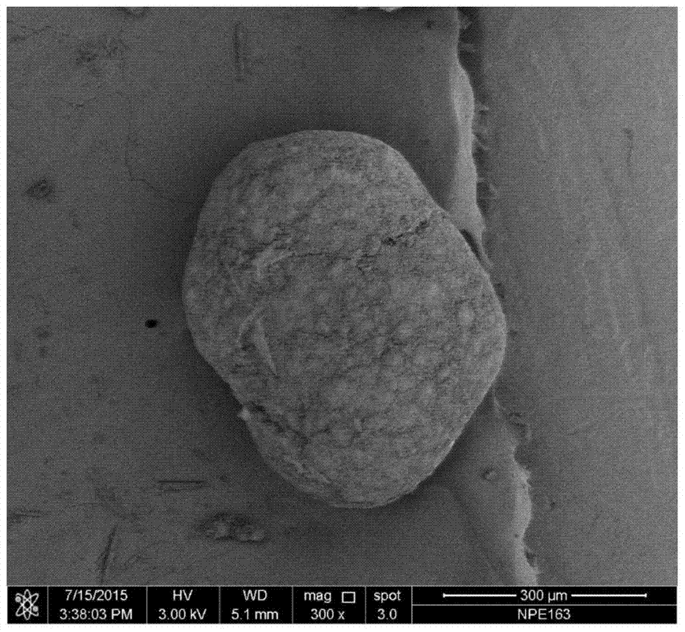 A preparation method and application of magnetic organic conjugated polymer microspheres