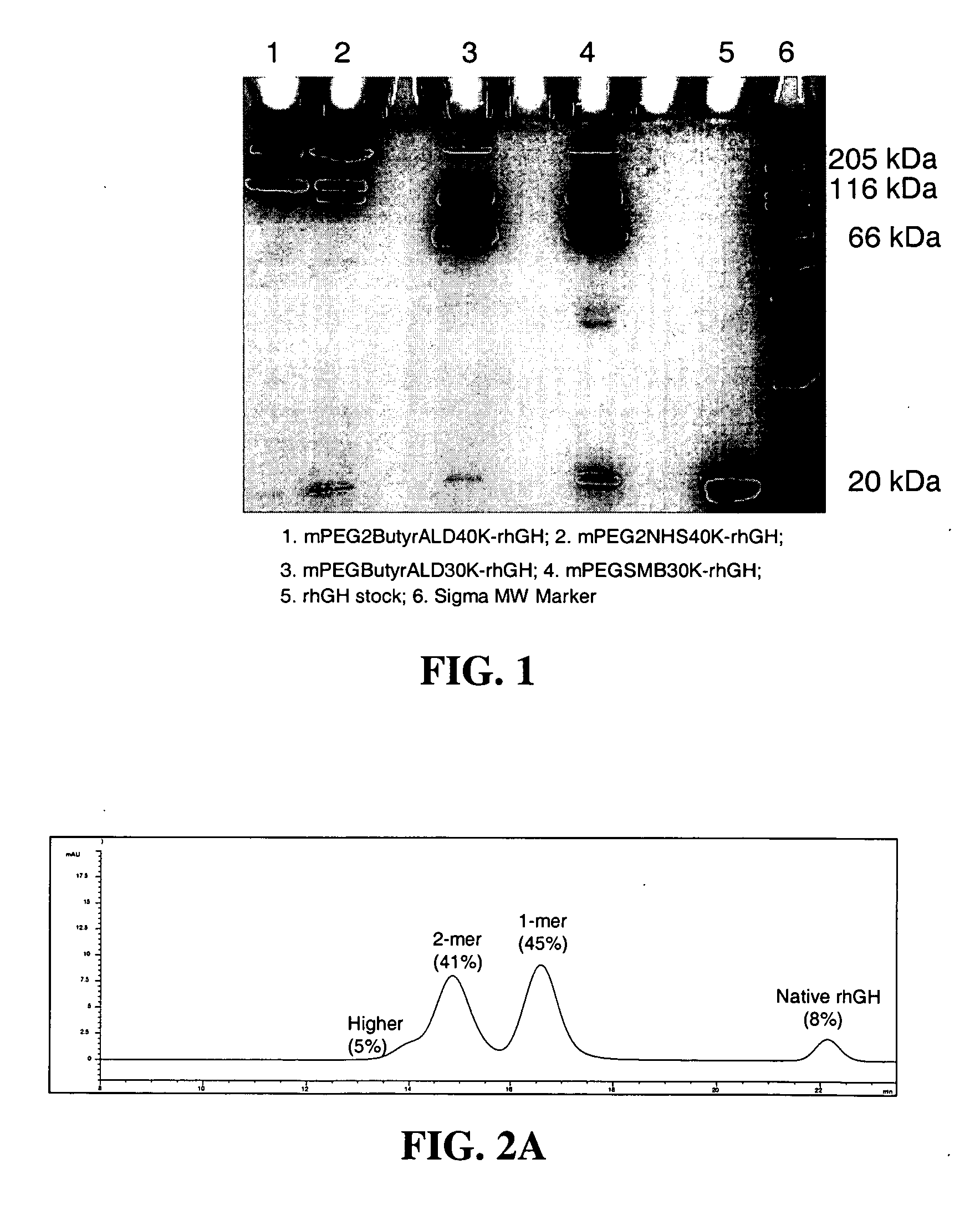 Conjugates formed from polymer derivatives having particular atom arrangements