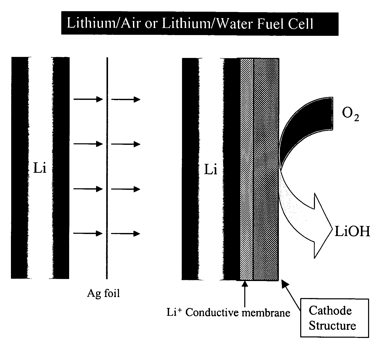 Active metal fuel cells