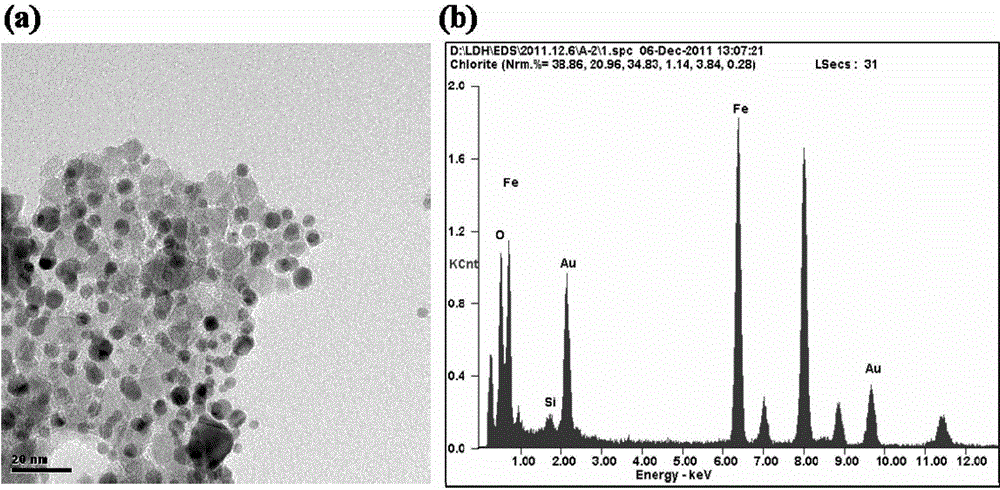 Preparation method of folic acid-modified multifunctional targeting contrast agent magnetic iron oxide/gold nanoparticles