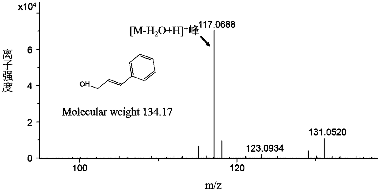 Recombinant escherichia coli capable of producing cinnamic alcohol and rosin, and construction method and applications thereof