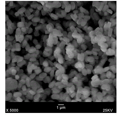 Method for synthesizing ZSM-5 molecular sieve through two-segment temperature change