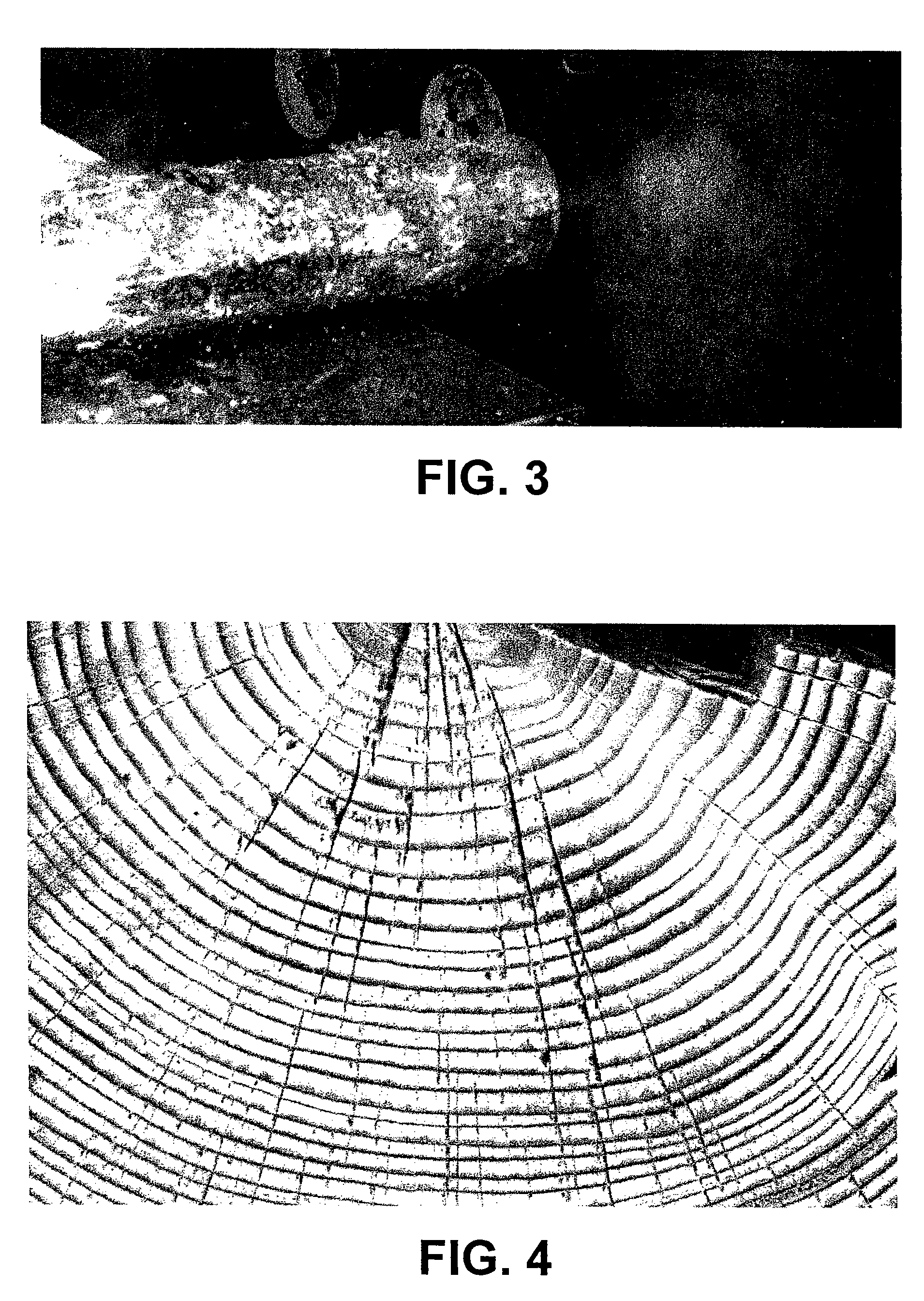 Microwave pretreatment of logs for use in making paper and other wood products