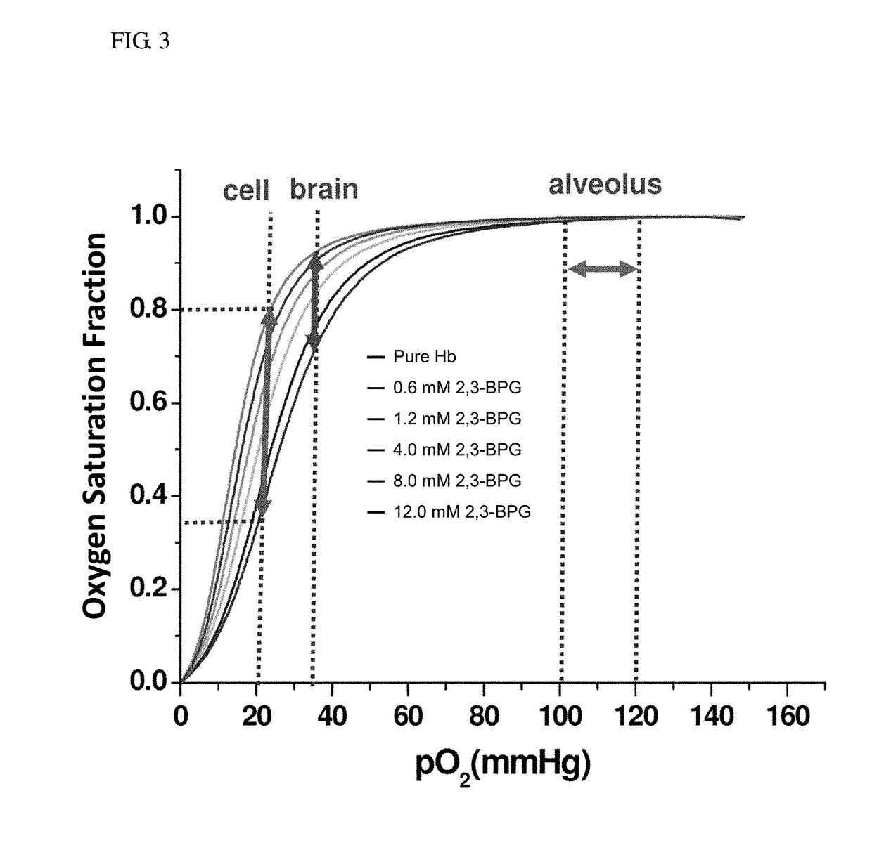 Method for preventing cancer by using phthalides