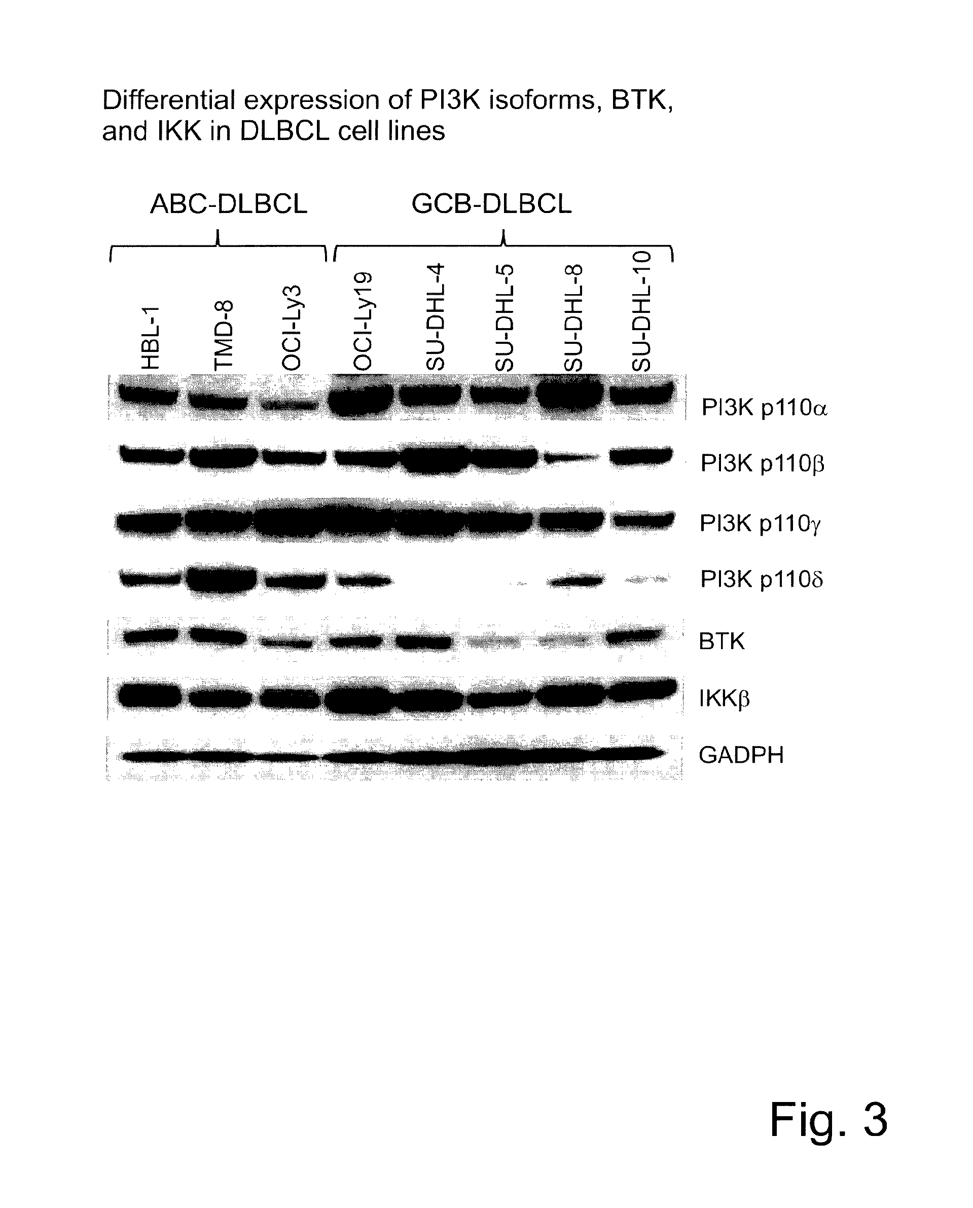 Use of substituted 2,3-dihydroimidazo[1,2-c]quinazolines for treating lymphomas