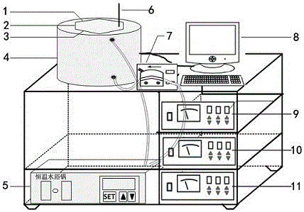 Method for preparing maize polypeptide through synchronous multi-frequency ultrasonic-aided enzymatic hydrolysis by immobilized enzyme