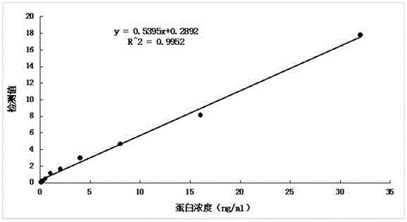 Anti-human kininogenase antibody and application thereof