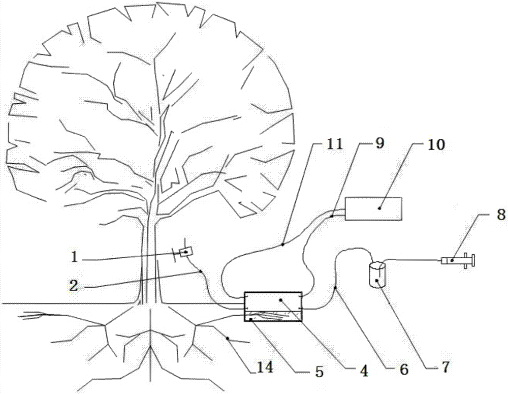 In-situ measurement device for measuring plant root respiration