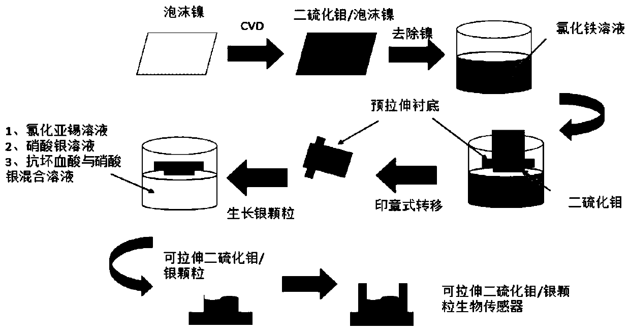 A preparation method of a highly sensitive stretchable biosensor for in situ detection