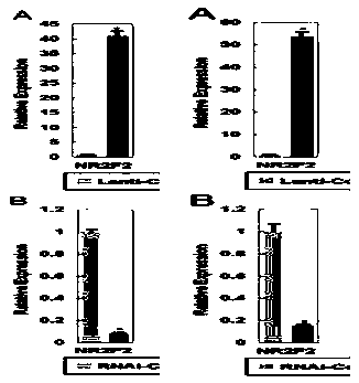 A method for promoting cartilage tissue differentiation of mesenchymal stem cells