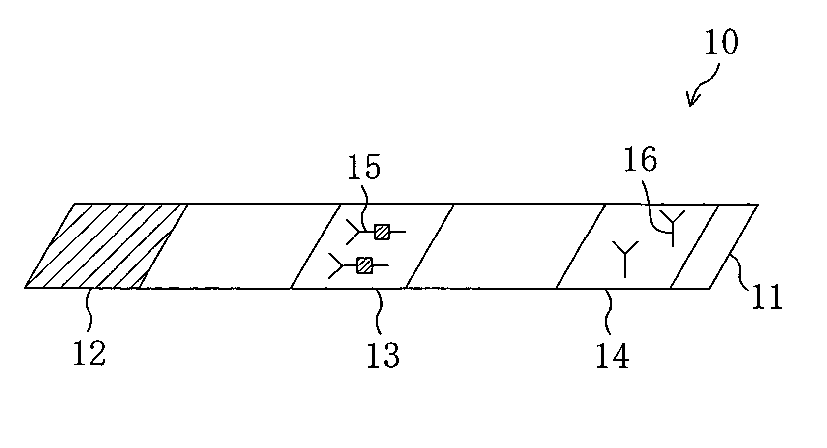 Test strip for chromatography and process for producing the same