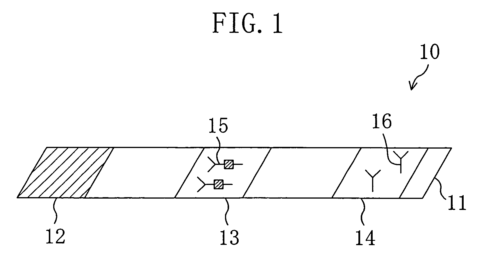 Test strip for chromatography and process for producing the same