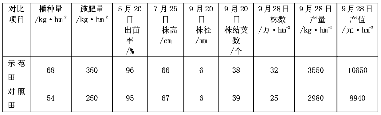 Method for mechanically cultivating soybean through narrow ridge close planting technology