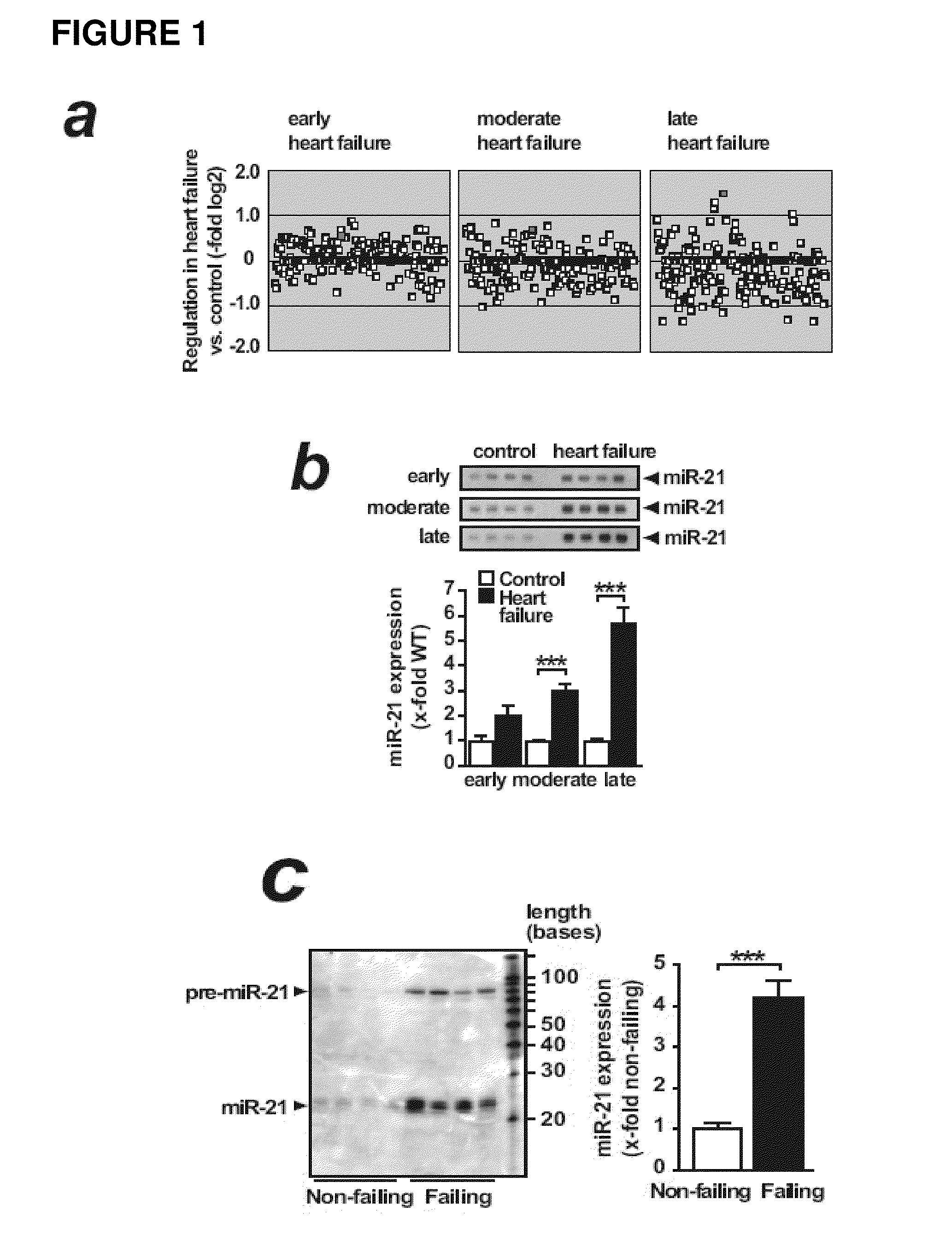 MicroRNA (miRNA) And Downstream Targets For Diagnostic And Therapeutic Purposes