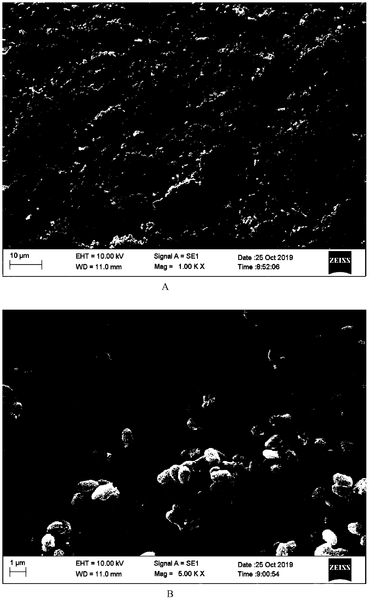 Pu'er tea leaf endophytic bacillus and application thereof