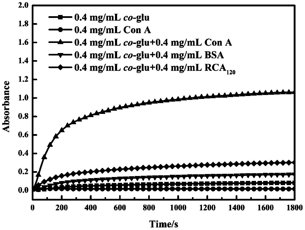 Method for testing interaction of temperature-sensitive random polymer with agglutinin