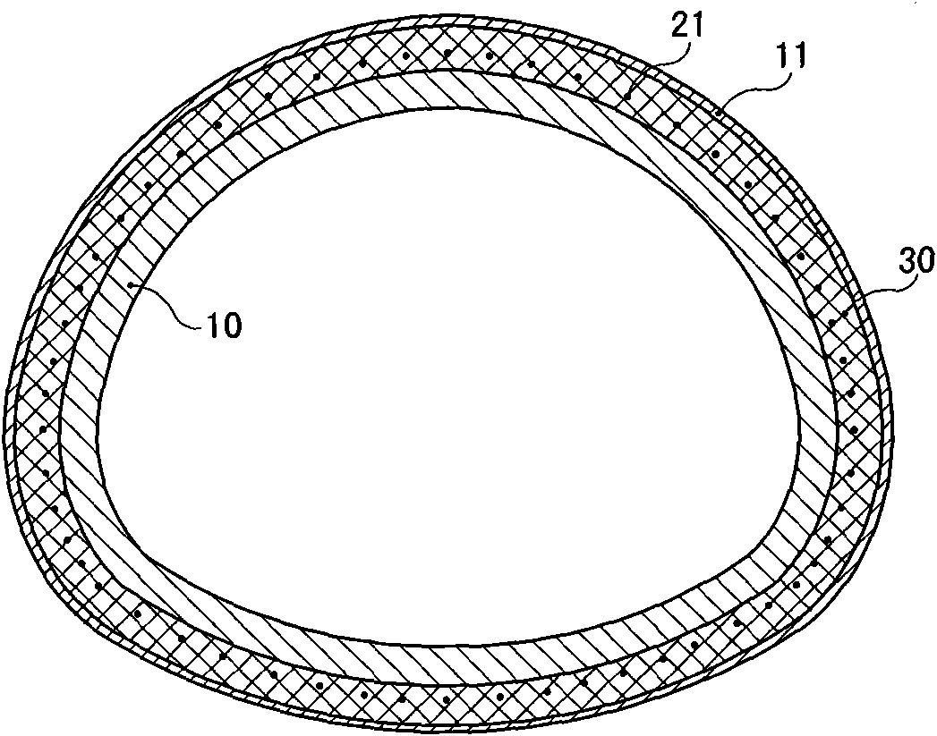 Shock resisting and reducing structure spanning movable fault tunnel