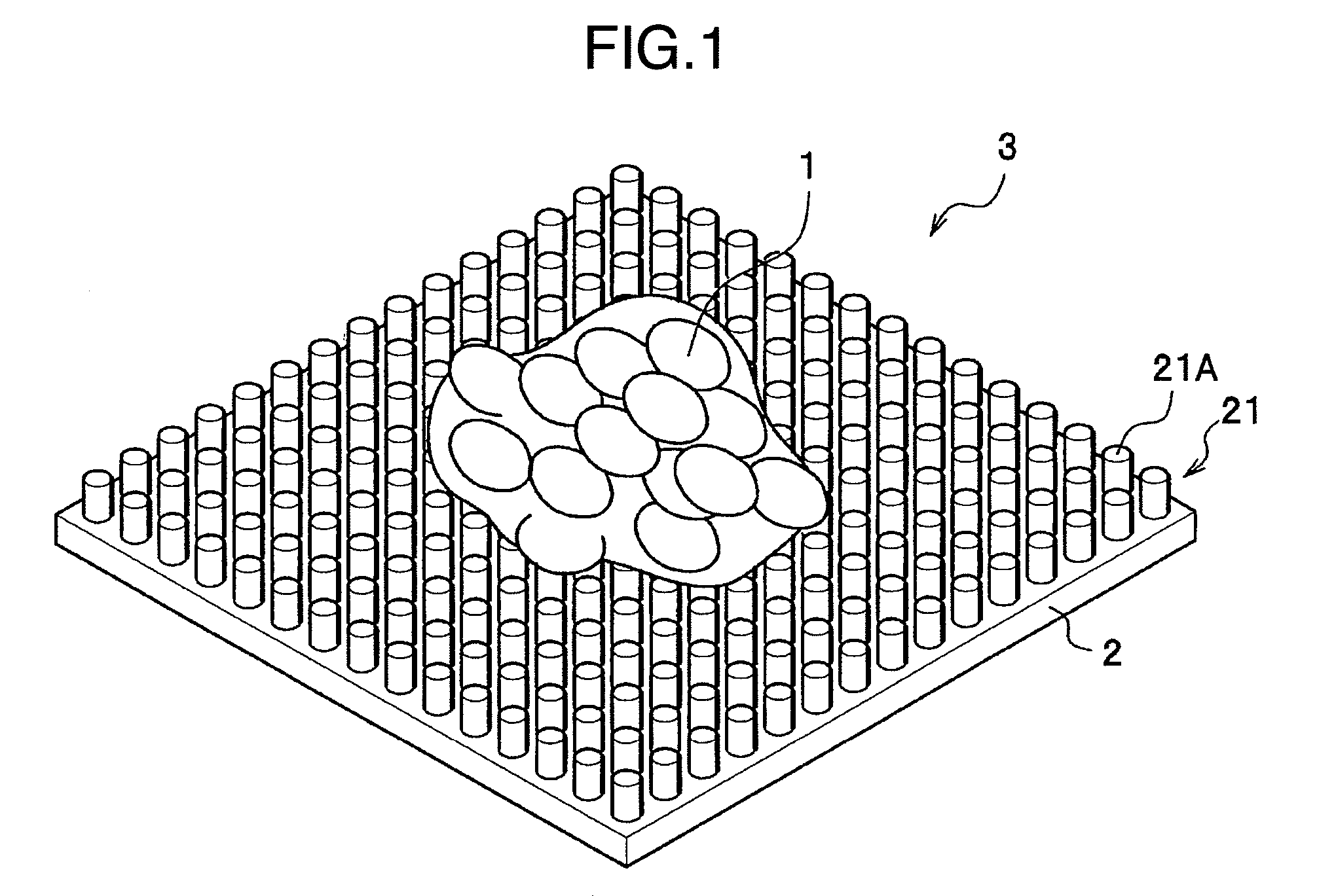 Process and substrate for culturing cartilage cell, material for reproducing biological tissue containing cartilage cell, and cartilage cell