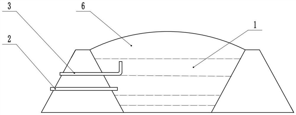 Cultivation method for realizing symbiosis of fish and grass by utilizing biogas slurry