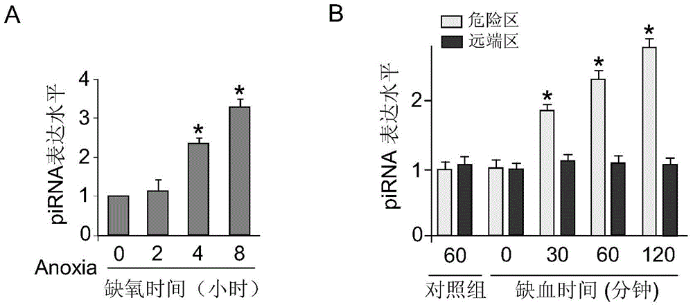 piRNA antisense nucleotide pharmaceutical composition and application thereof